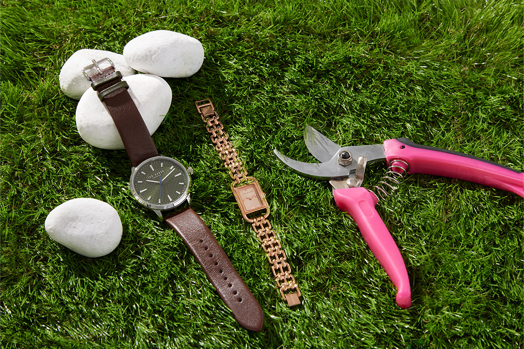 How to Build a Minimalist Watch Collection Without Breaking the Bank ...