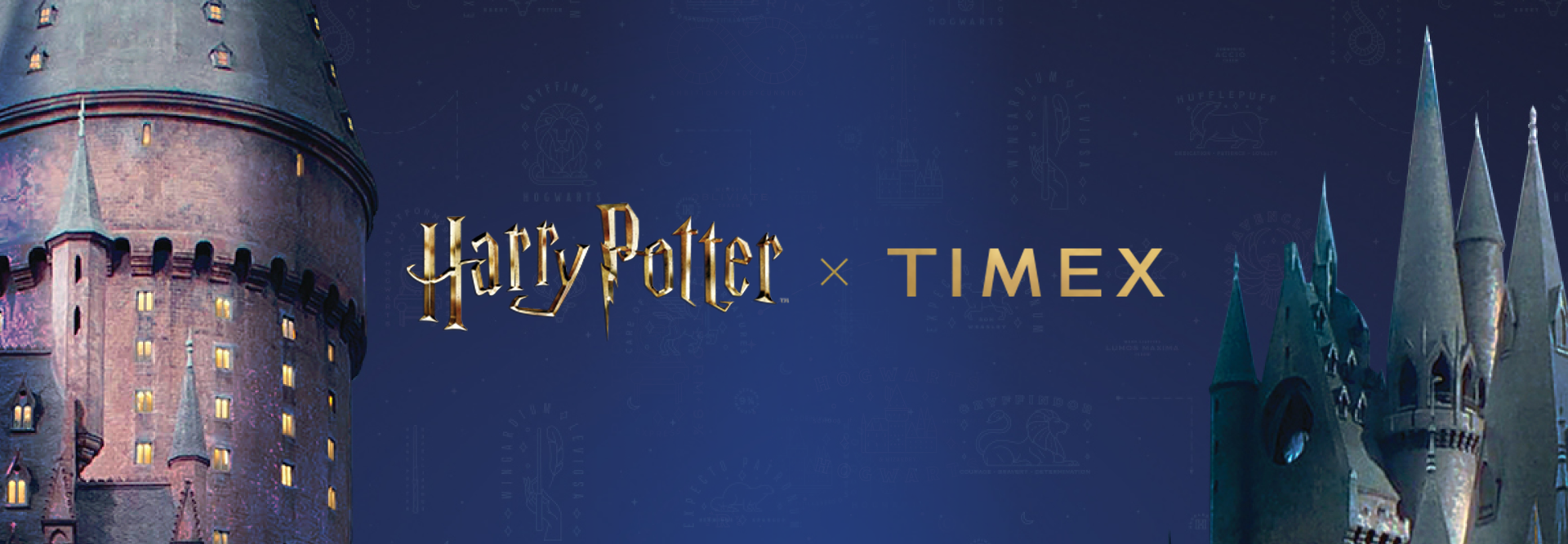Harry Potter X Timex