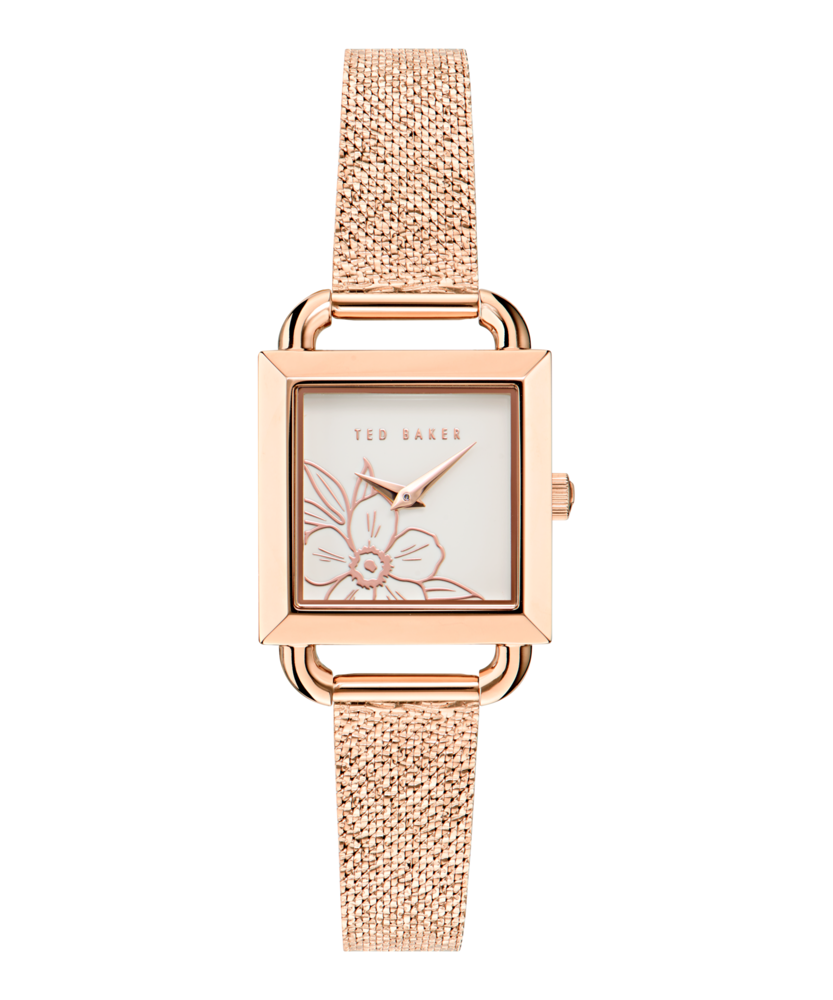 Ted Baker Iconic Women Silver Dial Quartz Analog At JUST WATCHES