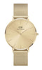 Daniel Wellington Wrist Watch Gold Dial Men's Watch - DW00100475