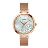 Timex Fashion Mother of Pearl Dial Women's Watch -TW000X220